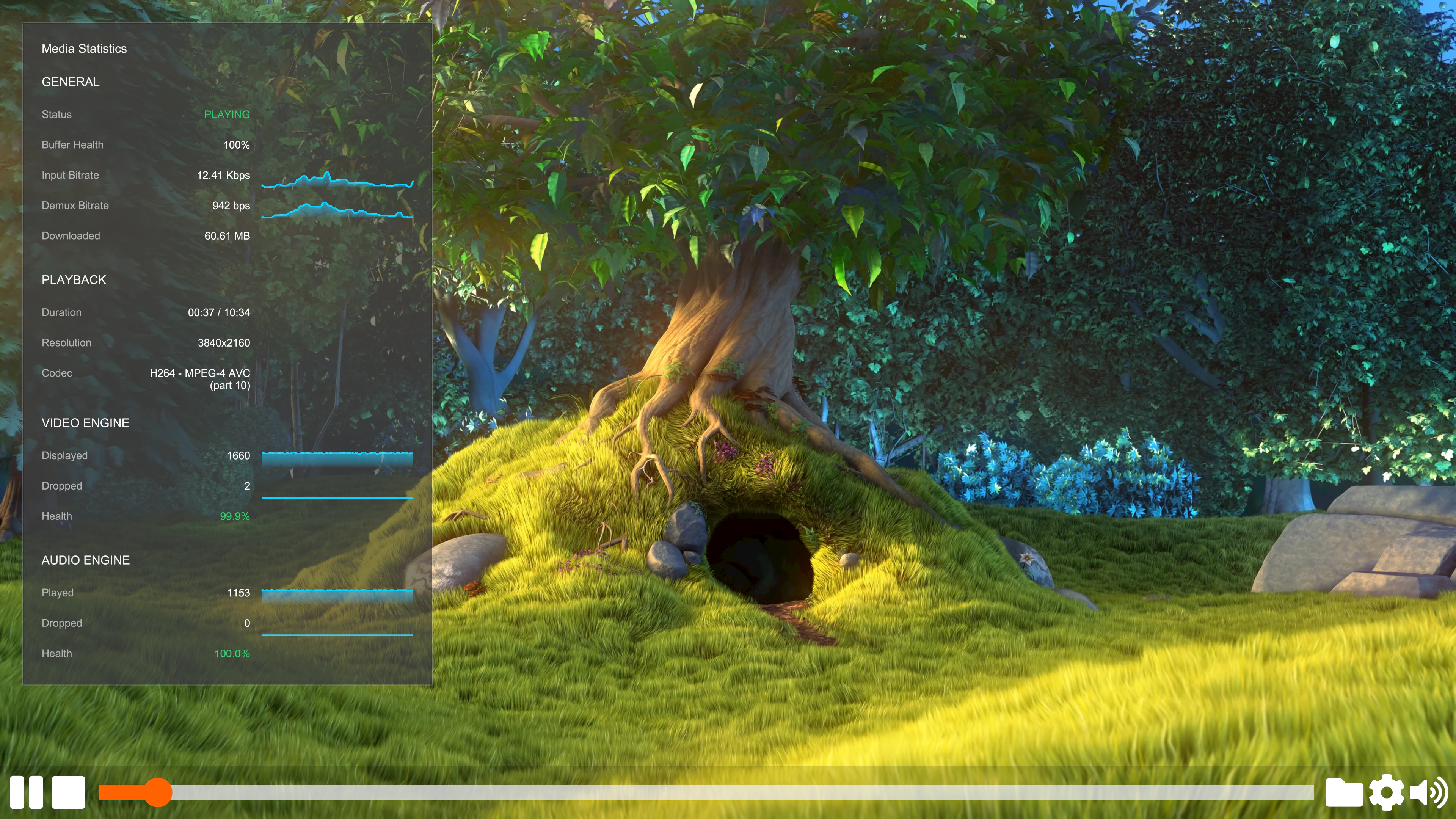 VLC Stats Demo